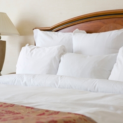 Standard or King Size T-250 Pillowcases (Per Dozen)